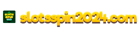 Slots Spin 2024 logo